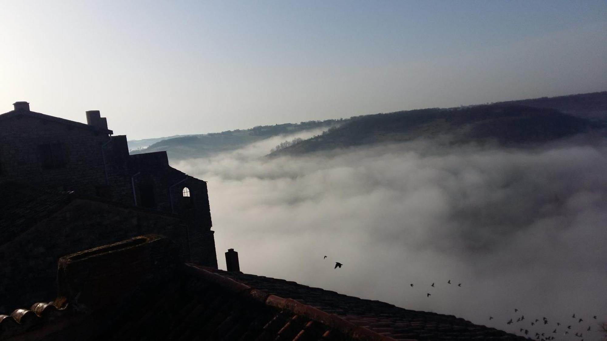 Le Gîte d'Olympe Cordes-sur-Ciel Extérieur photo